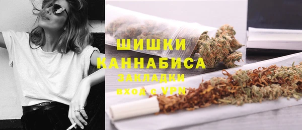 ПСИЛОЦИБИНОВЫЕ ГРИБЫ Каменногорск