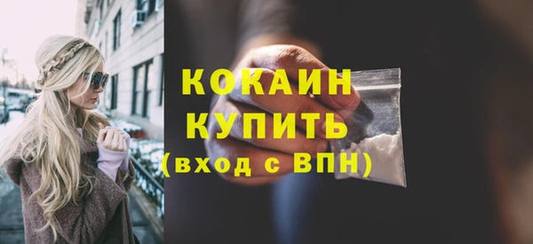 МДПВ Каменка