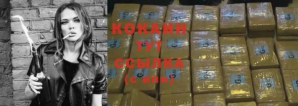 Альфа ПВП Белокуриха