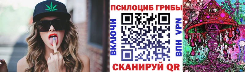 Галлюциногенные грибы Magic Shrooms  Ершов 